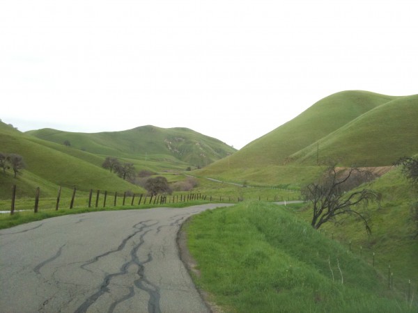 Green pathways are before me